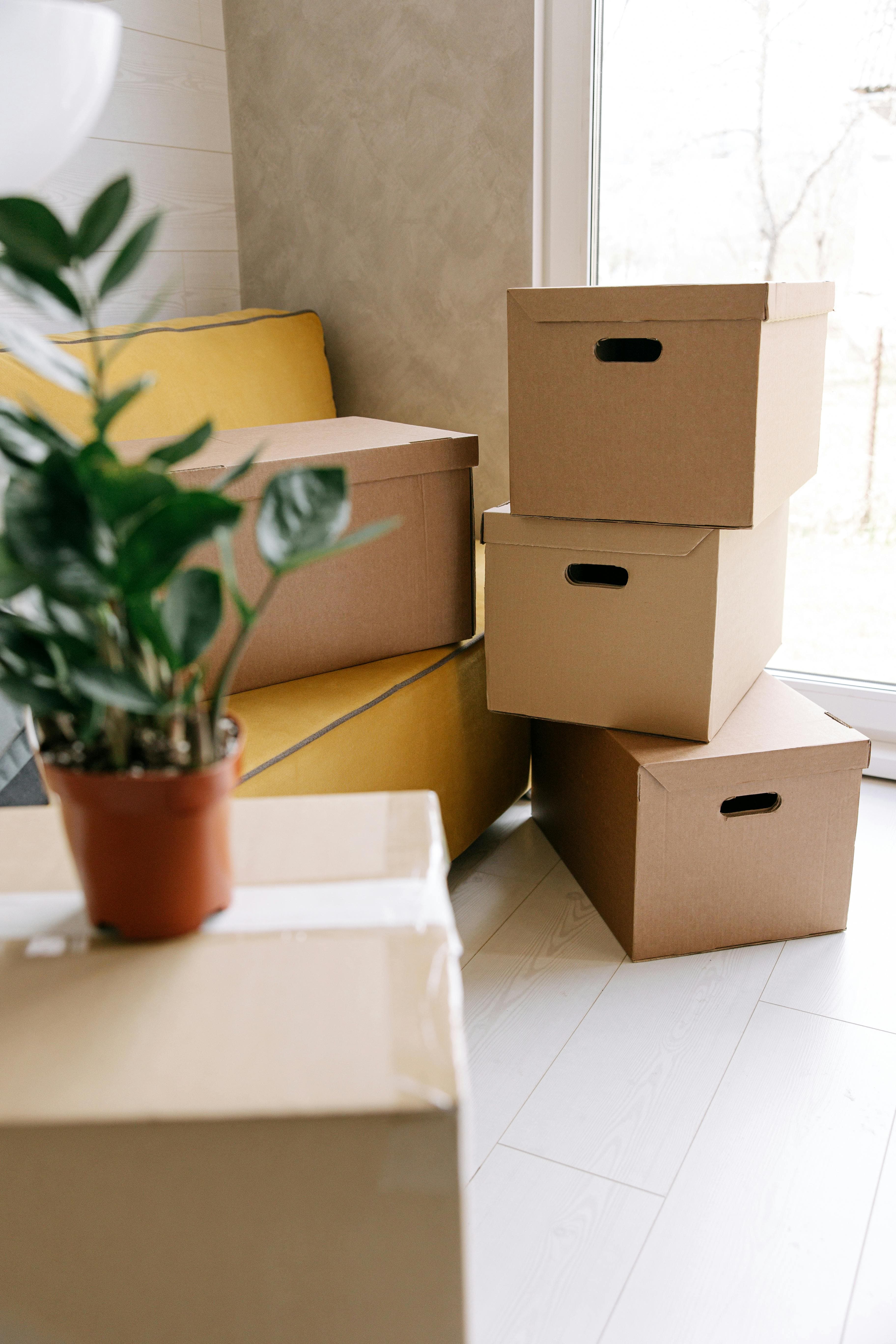 Office & Apartment Moves